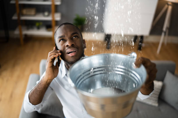 Best Fire Damage Restoration  in Canton, GA