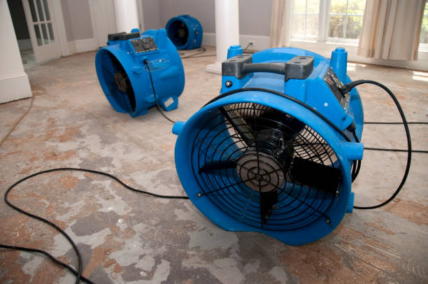 Best Professional water damage repair  in Canton, GA